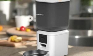 Akıllı Kedi Mama Kabı