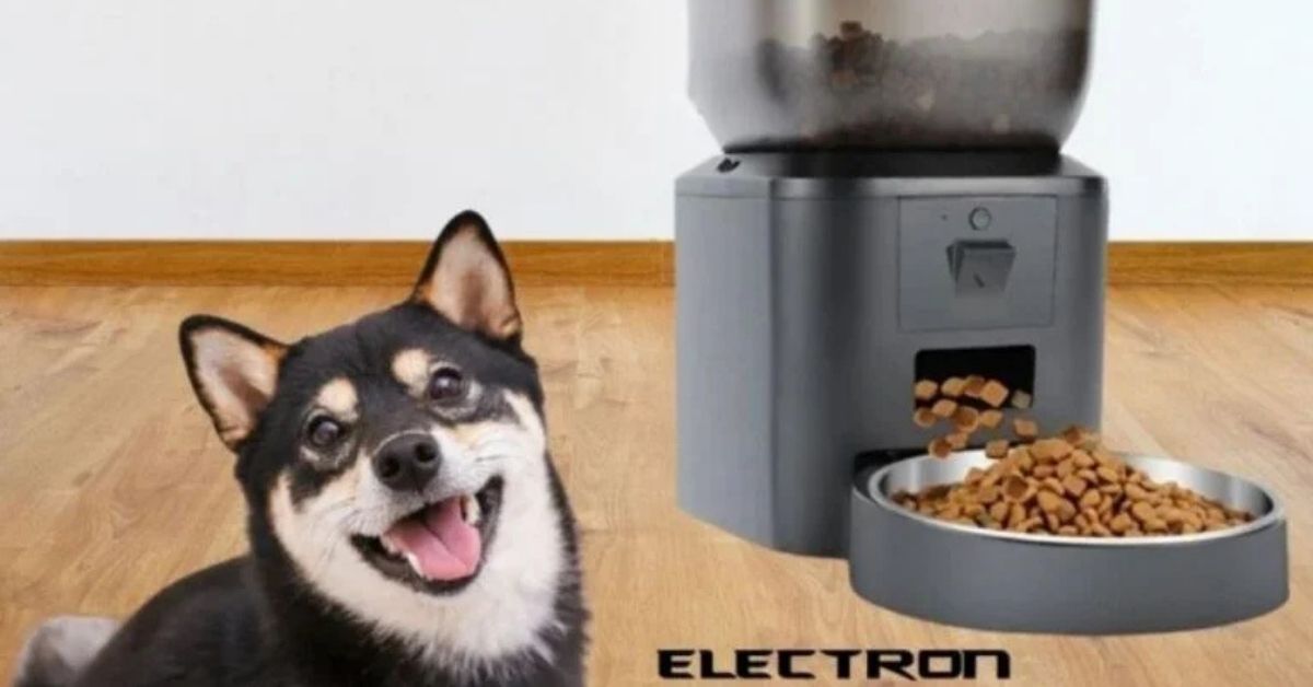 Akıllı Köpek Mama Kabı