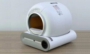 akilli kedi tuvaleti fiyatlari 2 Akıllı Kedi Tuvaleti Fiyatları