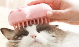 buharli kedi taragi fiyatlari 2 Buharlı Kedi Tarağı Fiyatları