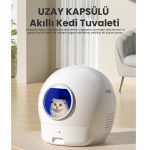 Suggest Product Thumbnail