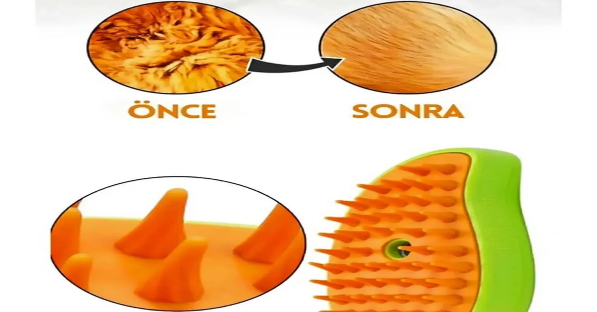 kedi taragi 2 Kedi Tarağı