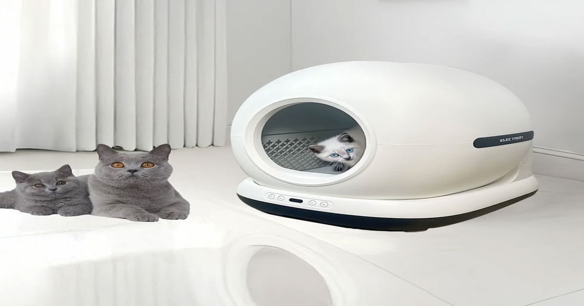 akilli kedi tuvaleti 3